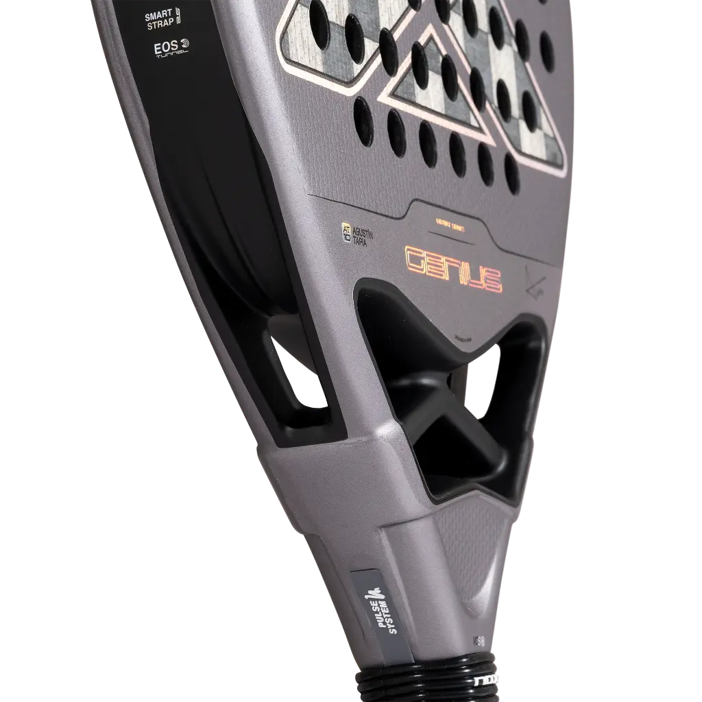 PAGENIUSAT1827_7.webp